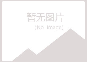 罗定盼夏建设有限公司